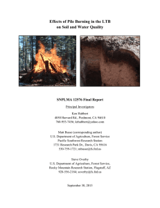 Effects of Pile Burning in the LTB  SNPLMA 12576 Final Report