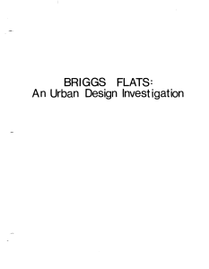 BRIGGS  FLATS: An  Urban  Design  Investigation