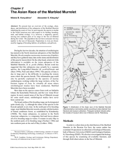 The Asian Race of the Marbled Murrelet Chapter 2 Nikolai B. Konyukhov