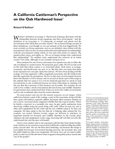 W A California Cattleman’s Perspective on the Oak Hardwood Issue Richard O’Sullivan