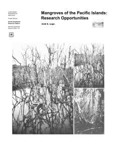 Mangroves of the Pacific Islands: Research Opportunities Ariel E. Lugo United States