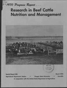 Research in Beef Cattle Nutrition and Management 7970 'elzei