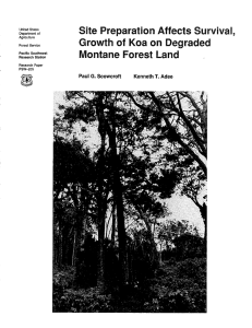 Site Preparation Affects Survival, Growth of  Koa on Degraded