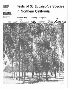 Eucalyptus Tests of 36 Species in Northern California