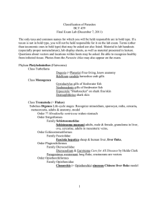 Classification of Parasites BLY 459 Final Exam Lab (December 7, 2011)