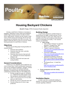 Housing Backyard Chickens Building Design  David D. Frame