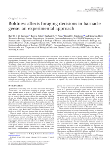 Boldness affects foraging decisions in barnacle geese: an experimental approach Original Article