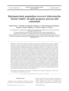 Harlequin duck population recovery following the constraints