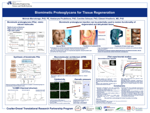 Biomimetic Proteoglycans for Tissue Regeneration