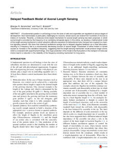 Article Delayed Feedback Model of Axonal Length Sensing Bhargav R. Karamched