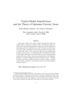 Capital Market Imperfections and the Theory of Optimum Currency Areas