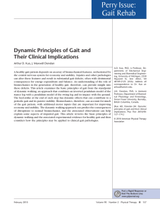 Perry Issue: Gait Rehab Dynamic Principles of Gait and Their Clinical Implications