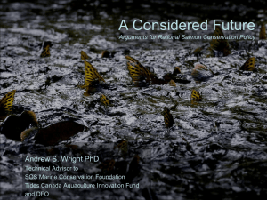 A Considered Future Andrew S. Wright PhD