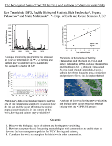 The biological basis of WCVI herring and salmon production variability