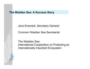 Jens Enemark, Secretary General Common Wadden Sea Secretariat The Wadden Sea: