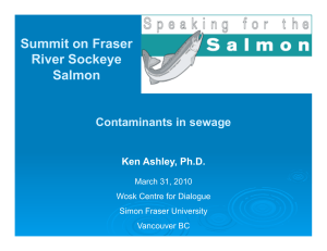 Summit on Fraser River Sockeye Salmon Contaminants in sewage
