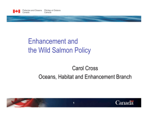 Enhancement and the Wild Salmon Policy Carol Cross Oceans, Habitat and Enhancement Branch