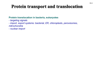 Protein transport and translocation Protein translocation in bacteria, eukaryotes targeting signals