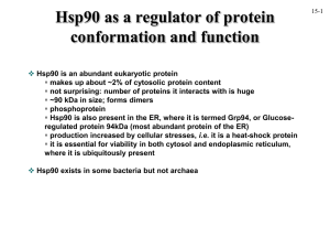 Hsp90 as a regulator of protein conformation and function