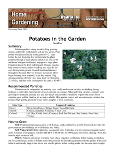 Potatoes in the Garden Summary