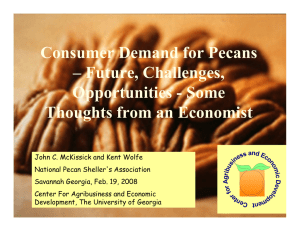Consumer Demand for Pecans – Future, Challenges, Opportunities - Some