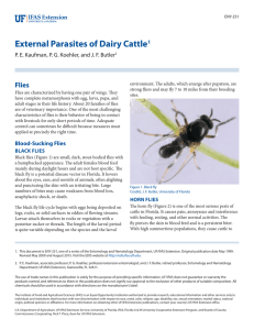External Parasites of Dairy Cattle Flies 1