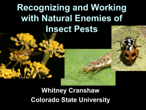 Recognizing and Working with Natural Enemies of Insect Pests Whitney Cranshaw