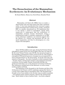 The Denucleation of the Mammalian  Erythrocyte: An Evolutionary Mechanism Abstract