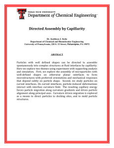 Directed Assembly by Capillarity   