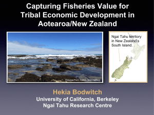 Capturing Fisheries Value for Tribal Economic Development in Aotearoa/New Zealand Hekia Bodwitch
