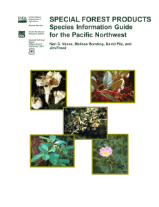 SPECIAL FOREST PRODUCTS Species Information Guide for the Pacific Northwest