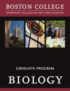 biology boston college graduate program morrissey college of arts and sciences
