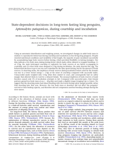 State-dependent decisions in long-term fasting king penguins, Aptenodytes patagonicus