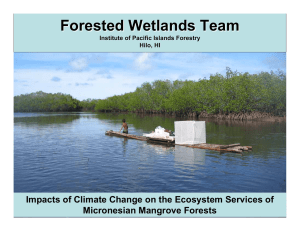 Forested Wetlands Team Micronesian Mangrove Forests Institute of Pacific Islands Forestry