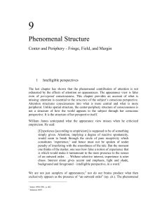 9 Phenomenal Structure Center and Periphery - Fringe, Field, and Margin