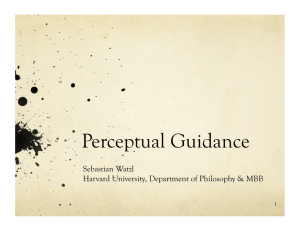 Perceptual Guidance Sebastian Watzl Harvard University, Department of Philosophy &amp; MBB 1