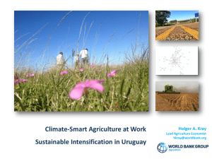 Climate-Smart Agriculture at Work Sustainable Intensification in Uruguay Holger A. Kray
