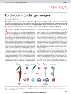 REVIEWS Forcing cells to change lineages Thomas Graf &amp; Tariq Enver
