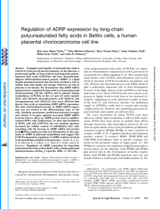Regulation of ADRP expression by long-chain placental choriocarcinoma cell line