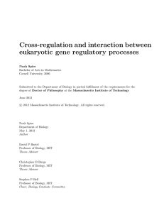 Cross-regulation and interaction between eukaryotic gene regulatory processes