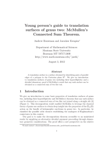 Young person’s guide to translation surfaces of genus two: McMullen’s