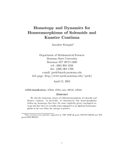 Homotopy and Dynamics for Homeomorphisms of Solenoids and Knaster Continua