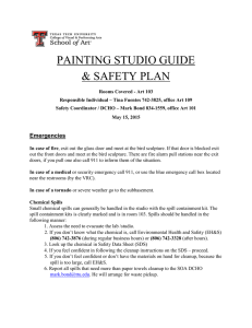 PAINTING STUDIO GUIDE &amp; SAFETY PLAN