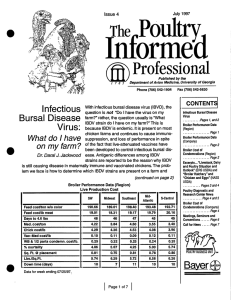 Informed Poultry The Professional