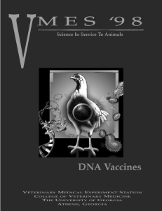 V M E S  ‘9 8 DNA Vaccines