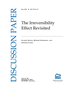 DISCUSSION PAPER The Irreversibility Effect Revisited