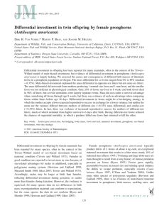 Differential investment in twin offspring by female pronghorns (Antilocapra americana) D H. V