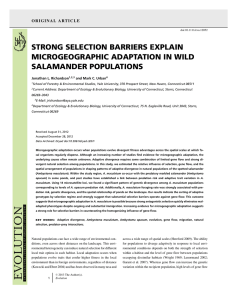 STRONG SELECTION BARRIERS EXPLAIN MICROGEOGRAPHIC ADAPTATION IN WILD SALAMANDER POPULATIONS
