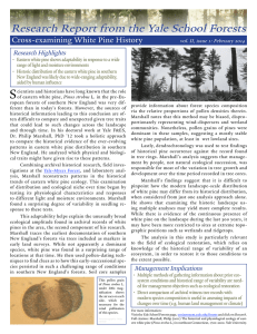 Research Report from the Yale School Forests Research Highlights