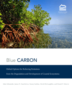 Blue  Global Options for Reducing Emissions